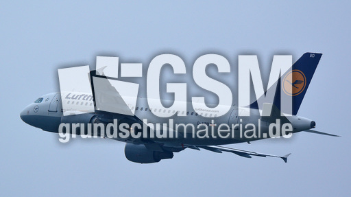 Airbus A319-100_2.jpg